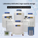 Brazil-liquid nitrogen storage vessel-liquid nitrogen storage tank