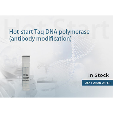 Hot Start PCR Master Mix (Antibody modified)