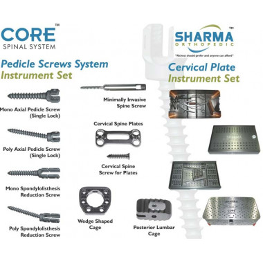 Pedicle Screws System