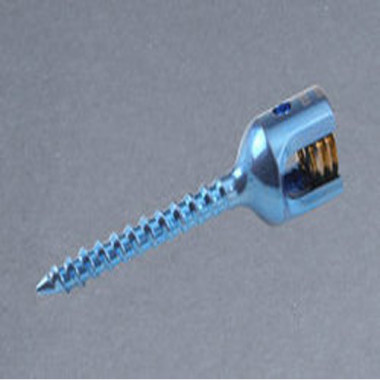 Single Lock Mono Axial Screw