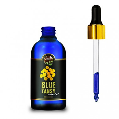 Moroccan blue tansy essential oil company