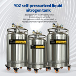 Ethiopia-low pressure liquid nitrogen tank-ln2 vessel