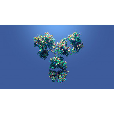 Lecanemab