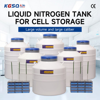Liechtenstein-liquid nitrogen tank for cell storage price-ln2 dewars