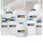 Micronesia-liquid nitrogen storage tanks KGSQ-16L semen storage tank