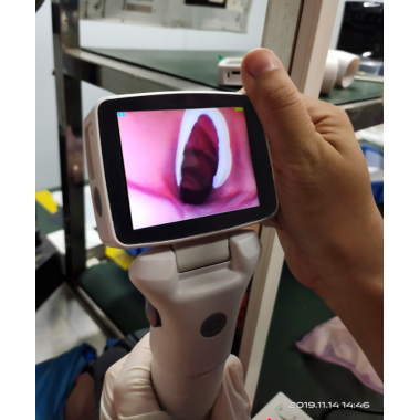 Postman Video Laryngoscope